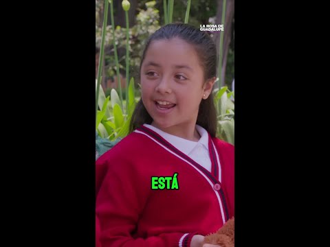 👦🏻👧🏻 Nando es el único amigo de Lupita #LaRosadeGuadalupe thumbnail