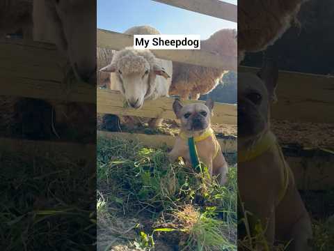 Expectation VS Reality 😅 thumbnail