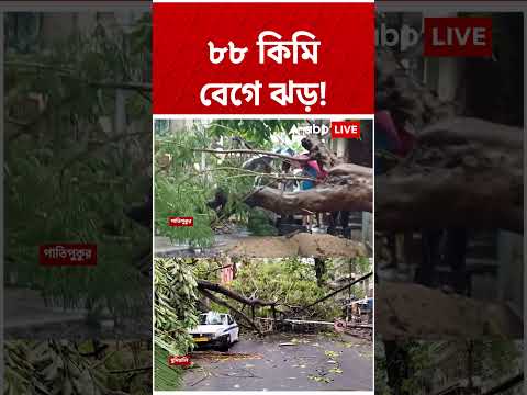 ৮৮ কিমি গতিবেগে ঝড়ের সাক্ষী থাকল শহর ও জেলা | #shorts #abpananda thumbnail