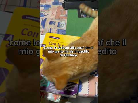 Come glielo spiego che lui mi ha impedito di aprire il Libro? thumbnail