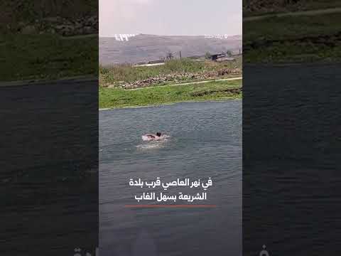 ألقى بنفسه في نهر العاصي لينقذ فتى من الغرق بريف حماة thumbnail