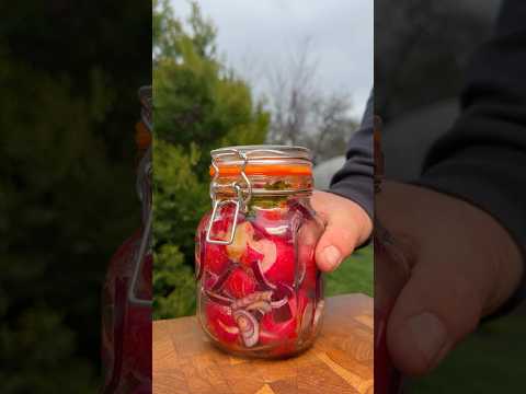 РАЗДАВИЛ, залил, убрал в холодильник. Утром РЕДИСКА — БАЛДЕЖ thumbnail