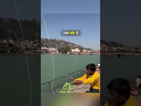 Cao thủ bắt dừa trên các con sông#daochieu #shorts thumbnail