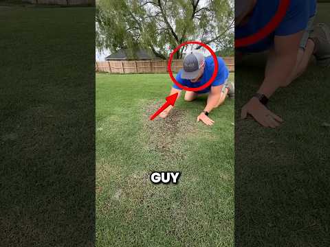 Something Was Buried in His Yard and He Had No Idea thumbnail