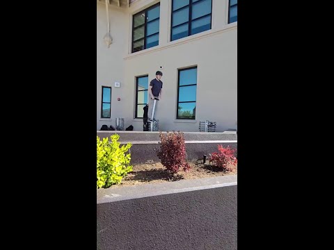 oh all the places you’ll pogo 😲 #pogosticking #extreme #tricks thumbnail