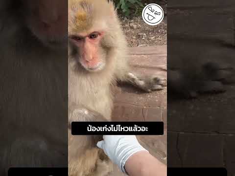 น้องเก่งไม่ไหวแล้วอะ thumbnail
