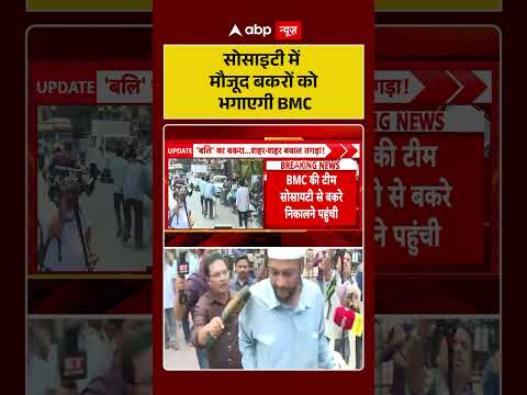 Bakrid Controversy | सोसाइटी में मौजूद बकरों को भगाएगी BMC #ytshorts #bakraeid thumbnail