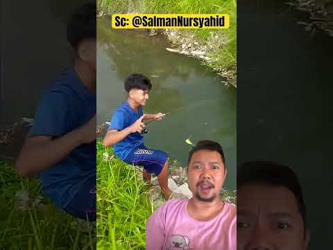 Jago mancing ranting pohon hehehe #comedy #funny #memengakakkocak #shortsvideo #shortfeed thumbnail
