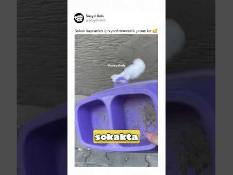 Sokak hayvanları için yardımseverlik yapan kız ? thumbnail