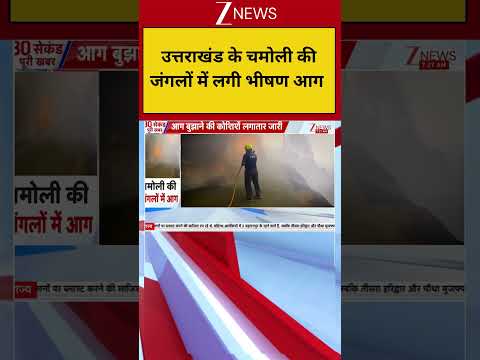 Breaking News: उत्तराखंड के चमोली की जंगलों में लगी भीषण आग | Uttarakhand thumbnail