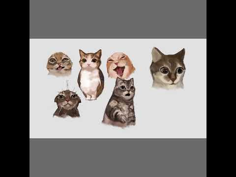 meme cat #cute #art #drawing thumbnail