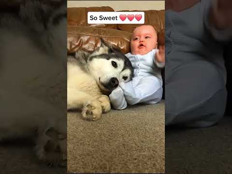 #love #baby thumbnail