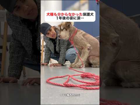 愛されると、こんなに変わる thumbnail