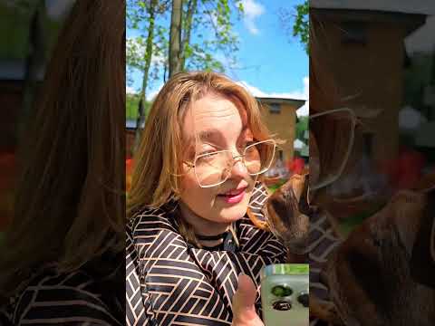 КТО ОСТАВИЛ ЭЛИ ОДНУ?🤔 thumbnail