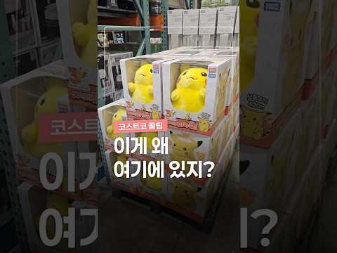 코스트코 갔다가 사람들이 충격받는 이유 thumbnail