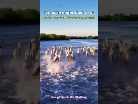 Efsanevi "Beyaz Atlı Prens" ordusu mu? #shorts #xinjiang #çin thumbnail