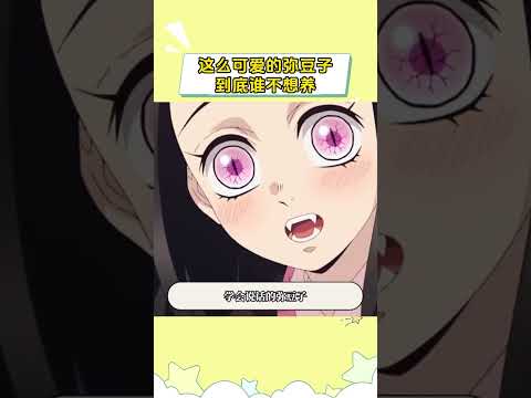 这么可爱的弥豆子到底谁不想养啊 #鬼灭之刃柱训练篇 #shorts thumbnail