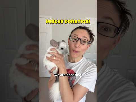 We could not he more thrilled to announce our first donation from Little Pals! 🤩 #rescue #smallpets thumbnail