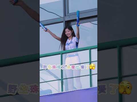 野生珠珠又來看比賽了? #20260517 #fubonangels #李珠珢 #이주은 #cheerleader  thumbnail