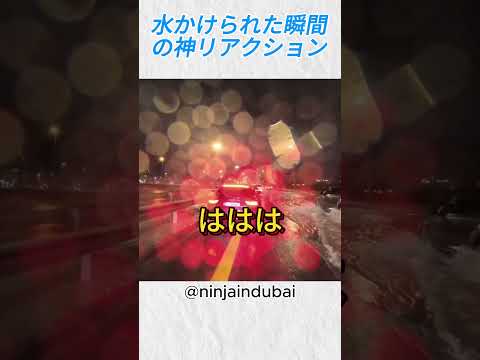 水かけられた瞬間の神リアクション@ninjaindubai #バイカー #バイク #shorts thumbnail