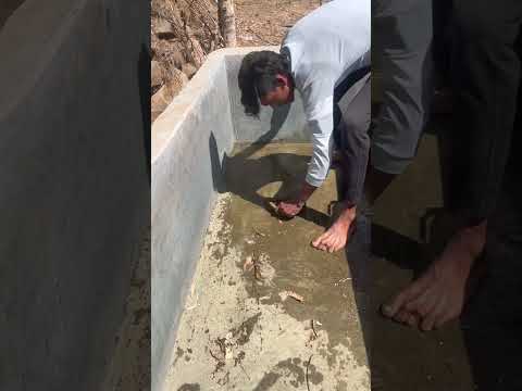 बेजुवानों को जल की व्यवस्था की #sewa #help #helping #gaumata thumbnail