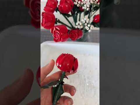 Bir tanıdığımın fikrini uyguluyorum umarım güllerim tek parça kalır 😐 thumbnail