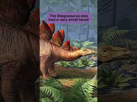 Dinos A to Z: Stegosaurus | #shorts thumbnail