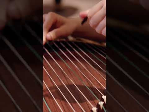 《無題》(Untitled) Guzheng Cover (Shorts Ver.) | Moyun Official #guzheng #shorts thumbnail