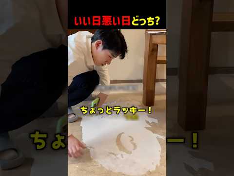 いい日悪い日どっち？ #shorts thumbnail