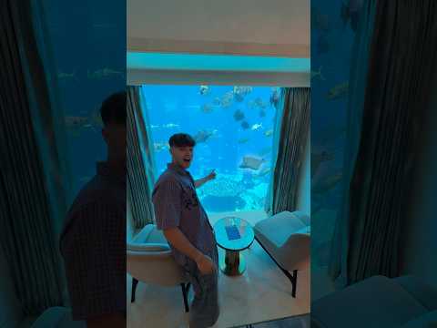 Unterwasser Hotel!💦🐠 | Lewinray #shorts thumbnail