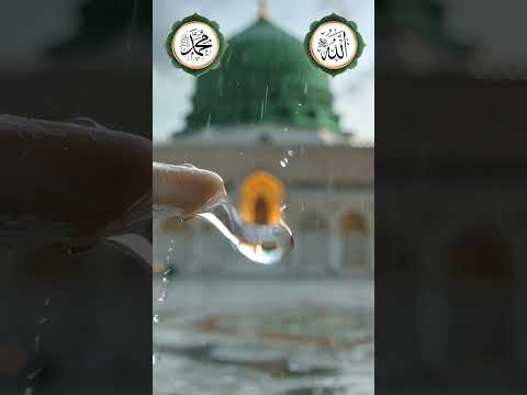 GÖNÜLLERİ KASIP KAVURAN 19 MÜZİKSİZ İLAHİ | HAYIRLI CUMALAR thumbnail