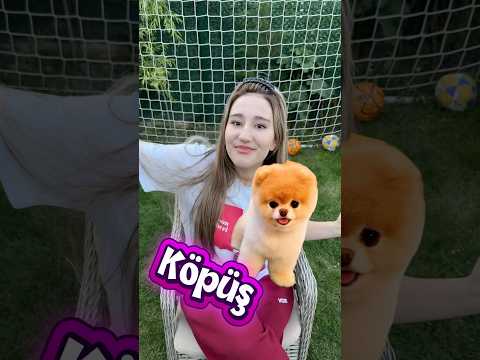Kızların vs erkeklerin köpeklerine koyduğu isimler thumbnail