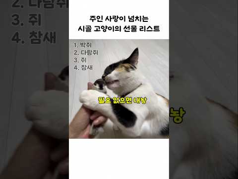 시골 고양이의 선물 스케일 thumbnail
