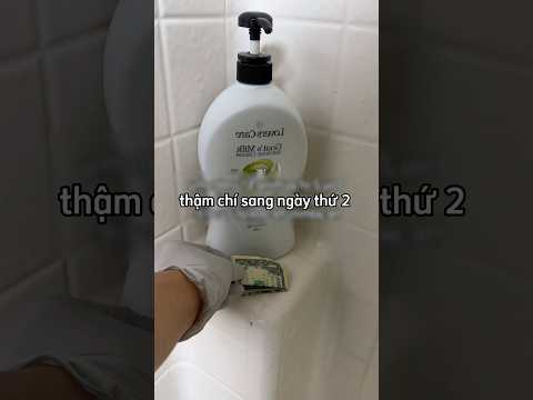 Anh chàng nghi ngờ em trai không bao giờ tắm và cái kết 😂 thumbnail