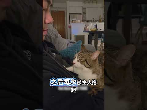 全网唯一認真防備主人的貓咪 thumbnail