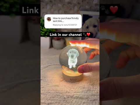 Dog lovers wait for it ?❤️ #pets #dogs #dogsoftiktok #dogloss #giftsideas thumbnail