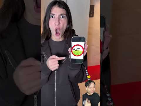 Tôi nên tắm ở bể bơi nào đây thumbnail