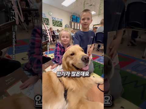 유치원에 개를 도입해야 하는 이유 thumbnail