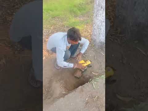 #comedy #short#📌 video# viral#🤣 thumbnail