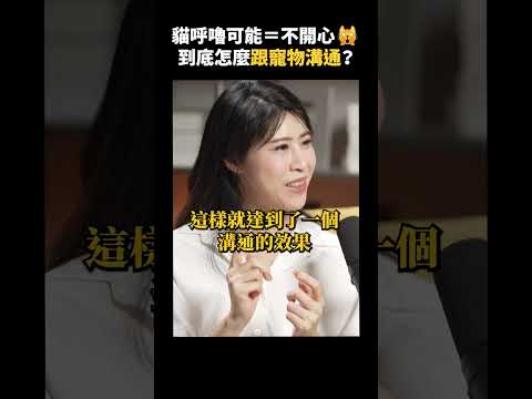 人類真能跟寵物溝通？貓專家：可解讀貓咪的表情 😽！｜志祺七七 Shorts #Highlight thumbnail
