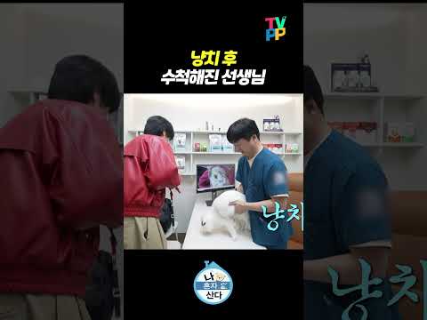 【#TVPP】 냥치 후 수척해진 선생님 | 나혼자산다 | TVPP | MBC 240412 방송 외 thumbnail