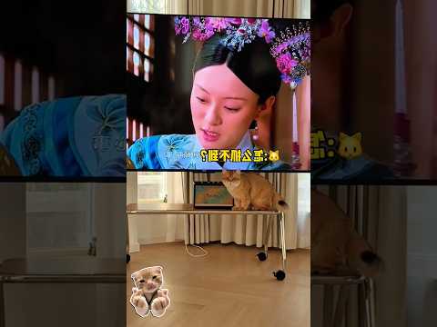 bontot ikutan nonton dracin thumbnail