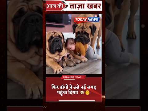 बेबी खुद को पप्पी समझ बैठा… फिर डॉगी ने उसे नई जगह पहुंचा दिया! 🐶👶 thumbnail