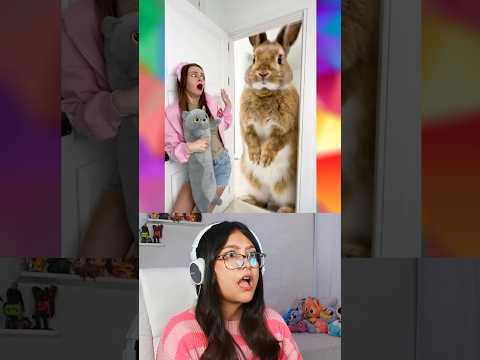 CONEJO GIGANTE EN LA HABITACIÓN @ANYAKOVAOFFICIAL #curiosidades #humor thumbnail