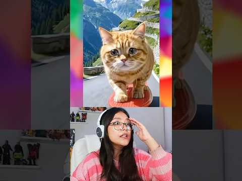 GATITO RESCATA A SU MEJOR AMIGO EN LA CARRETERA @mokomaru_10 #curiosidades #humor thumbnail