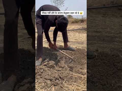 भीसड़ गर्मी होने के कारण बेज़ुबान तड़प रहे हे ?? #sewa #help thumbnail