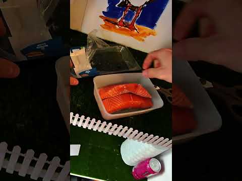I Bought My Pet Seagull His Own Salmon Fridge! thumbnail