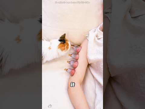 This kitten was deceived by its owner#shorts thumbnail