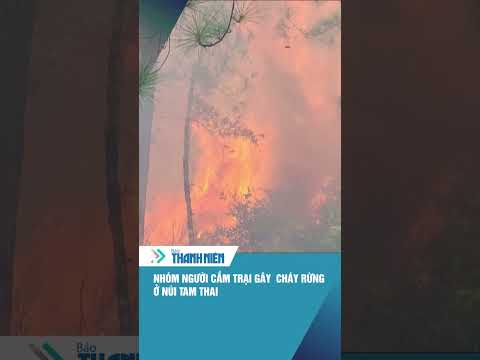 Tìm nhóm người cắm trại gây ra vụ cháy rừng ở núi Tam Thai #shorts thumbnail