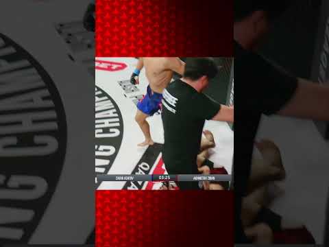 Полная доминация #zidane #mma #mmafighters #alashpride thumbnail